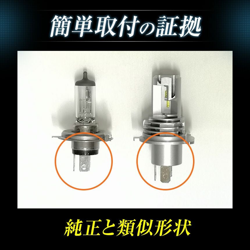 000000000652-12.jpg?size=l&w=